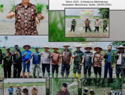 Bupati Aceh Tamiang Irjen Pol. (P) Drs. Armia Pahmi, MH : ” Gerakkan Tanam Padi dan Jagung Langkah Strategis Pemkab Jaga Stabilitas Harga Pangan “