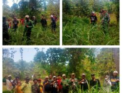 Sukseskan Ketahanan Pangan Nasional, Dandim 1308/LB Tinjau Lokasi Cetak Sawah