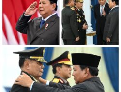Panglima TNI Hadiri Penganugerahan Pangkat Istimewa dan Pelantikan Menteri Kabinet Merah Putih di Istana Negara