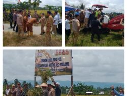 Dandim 1308/LB Di Dampingi Forkopimda Panen Raya Padi Serentak Dalam Rangka Ketahanan Pangan Nasional