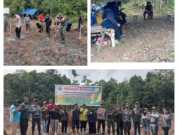 Dukung Program Ketahanan Pangan Nasional, Danramil 09/Labongkurung Hadiri Lounching Penanaman Jagung Serentak 1 Hektar