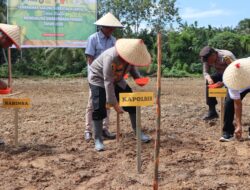 Dukung Swasembada Pangan, Polres Aceh Tamiang Melaksanakan Tanam Jagung Serentak