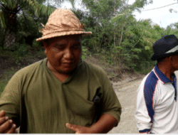 Dukungan Ketahanan Pangan Nasional, Belasan Tahun Penantian Petani Siuna Terjawab