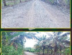 Dua Minggu Telah Berlalu, Satgas TMMD Tetap Bersemangat Bangun Jalan Desa