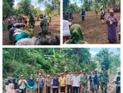 Sukseskan Program Ketahanan Pangan Nasional, Babinsa Laksanakan Pendampingan Dan Penanaman Padi Gogo Bersama di Desa Binaan