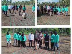 Kepedulian TNI Swasembada Pangan, Babinsa Bantu Petani Tanam Padi Gogo