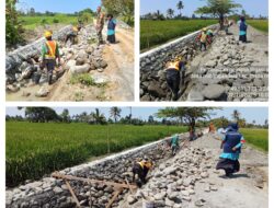 Danramil Bersama PPI Minangandala Dan Kelompok Tani, Tinjau Realisasi Pembangunan Jaringan Irigasi