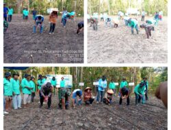 Motivasi Petani, Babinsa Koramil 13/Tataba Ikut Mencangkul di Lahan Bawang Merah