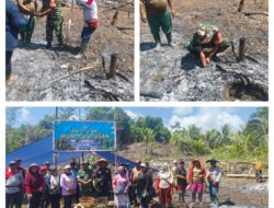Tingkatkan Ketahanan Pangan Babinsa Bantu Warga Tanam Ubi Banggai