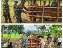 Sentuhan Kemanusiaan Satgas TMMD ke-126: Vaksinasi Hewan Ternak Wujud Kepedulian terhadap Kesehatan Masyarakat.