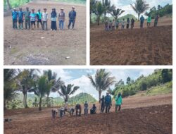 Sukseskan Swasembada Pangan, Babinsa Bantu Petani Tanam Padi Gogo