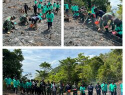 Kawal Dan Sukseskan Swasembada Pangan Nasional, Ws Danramil 12 Giat Gotong Royong dan Penanaman Padi Gogo