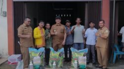 Bupati Armia Serahkan Bantuan Pupuk, Dorong Petani Aceh Tamiang Beralih ke Pertanian Berkelanjutan