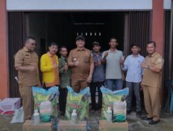 Bupati Armia Serahkan Bantuan Pupuk, Dorong Petani Aceh Tamiang Beralih ke Pertanian Berkelanjutan