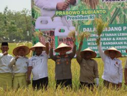 Kapolres Aceh Tamiang Bersama Forkopimda Hadiri Panen Padi Bersama Wakil Gubernur Aceh