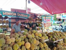 Viral!! Sabri Minion Durian Akan adakan Promo besar Besaran.