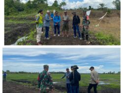 Babinsa Koramil 03/Batui Dampingi Bapak Kepala Bidang PSPP Cek Progres Cetak Sawah Di Desa Ujung