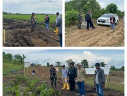 Danramil 03/Batui Dampingi Kunjungan Kerja Dirjen Lahan Dan Irigasi Pertanian RI Tinjau Proyek Percetakan Sawah