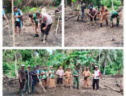 Sukseskan Program Hanpangan, Babinsa Koramil 10/Salakan Dampingi Petani Tanam Jagung Di Desa Bolonan