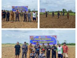 Dukung Program TNI AL, Pos TNI AL Luwuk Lanal Palu Laksanakan Penanaman Kedelai Anjasmara