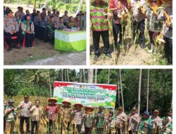 Danramil 10/Salakan Hadiri Panen Jagung Serentak, Bersama Polres Bangkep Wujudkan Ketahanan Pangan