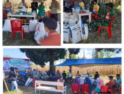 Sinergitas TNI–Polri Sukseskan Swasembada Pangan, Danramil 1308–02/Bunta Hadiri Panen Raya Jagung Serentak Kuartal I 2025/2026