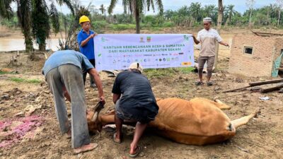 Aceh Tamiang Bangkit dengan Bantuan Sapi BAZNAS dari Bekasi