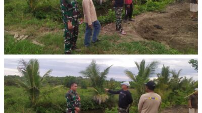 TNI-AD Bersama Kelompok Tani Masing Percepat Penyediaan Lahan Sawah Baru untuk Petani