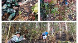 Babinsa Koranil 02/Bunta Bersama Tim Gabungan Padamkan Karhutla Di Desa Binaan