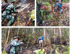 Babinsa Koranil 02/Bunta Bersama Tim Gabungan Padamkan Karhutla Di Desa Binaan