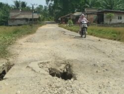 Jalan Lintas Gampong di Desa Buket Panjou Rusak Berlubang Berpotensi Berbahaya Bagi Pengendara Kendaraan