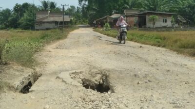 Jalan Lintas Gampong di Desa Buket Panjou Rusak Berlubang Berpotensi Berbahaya Bagi Pengendara Kendaraan