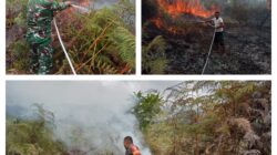 Gerak Cepat TNI–Polri Serta Masyarakat Terjun Langsung Kebakaran Hutan Dan Lahan (Karhutla)