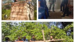 Komsos Babinsa Koramil 06/Lamala Cek Alat dan Bahan Pembangunan Garasi Alat Pertanian Desa