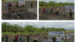 Dukung Asta Cita, Dandim 1307/Poso Tanam Padi Perdana Di Lahan Cetak Sawah Rakyat (CSR)