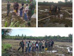 Dukung Ketahanan Pangan, Danramil 03 Batui Dampingi Dandim 1308/LB Tinjau Cetak Sawah 2025