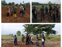 Danramil 03/Batui Dampingi Dandim 1308/LB Tinjau Lokasi Cetak Sawah Rakyat Di Desa