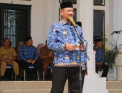 2.393 Orang Dilantik P3K Paruh Waktu Aceh Tamiang