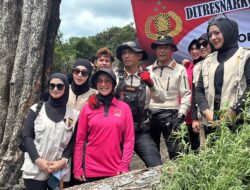 Kapolda Aceh Turun Langsung Musnahkan Ladang Ganja di Lampanah