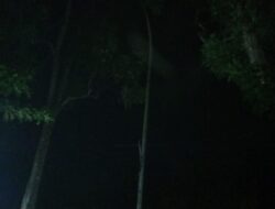 Gelap Berkepanjangan di Jalur Parungkuda–Pakuwon, PJU Tak Berfungsi, Warga Minta Tindakan Cepat.