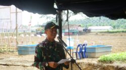 Dukung Ketahanan Pangan, Kodim 0117/Aceh Tamiang Lakukan Penaman Jagung Perdana dilahan Kompi Produksi