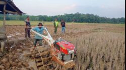 Siapkan Lahan, Babinsa Dampingi Petani Bajak Sawah Dengan Traktor
