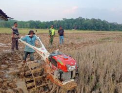 Siapkan Lahan, Babinsa Dampingi Petani Bajak Sawah Dengan Traktor