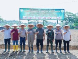 Dukung Ketahanan Pangan, Bupati Lakukan Penanaman Jagung Program Kodim 0117/Aceh Tamiang