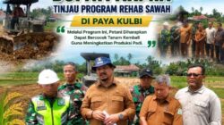 Bupati Aceh Tamiang Tinjau Rehabilitasi 712 Hektare Sawah Pascabanjir