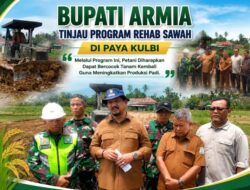 Bupati Aceh Tamiang Tinjau Rehabilitasi 712 Hektare Sawah Pascabanjir