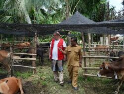 Pemkab Aceh Tamiang Terima 150 Ekor Sapi Kurban dari WEPA untuk Warga Terdampak Banjir