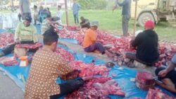 Bupati Aceh Tamiang Pimpin Pemotongan 17 Ekor Sapi Kurban, Daging Disalurkan ke Warga Terdampak Banjir di HUNTARA