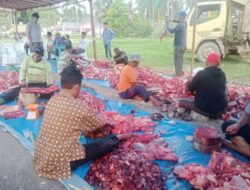 Bupati Aceh Tamiang Pimpin Pemotongan 17 Ekor Sapi Kurban, Daging Disalurkan ke Warga Terdampak Banjir di HUNTARA