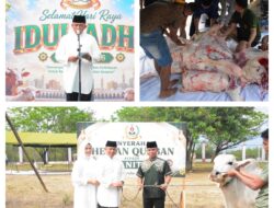 Danrem 132/Tdl Saksikan Penyembelihan Hewan Qurban di Makorem, Tebar Semangat Ikhlas dan Kebersamaan
